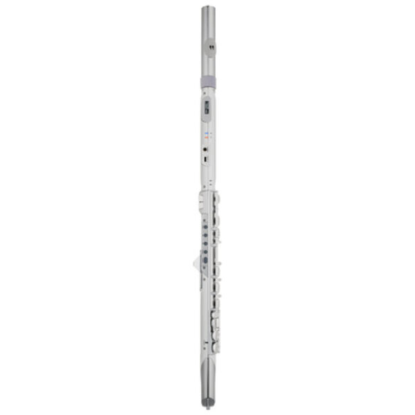 Roland Aerophone AE-Brisa