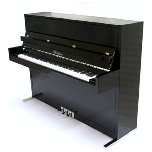 Blüthner Model D
